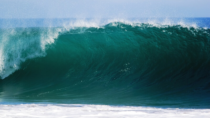 Longelitto - le blog des fans de longe-côte - protection des océans